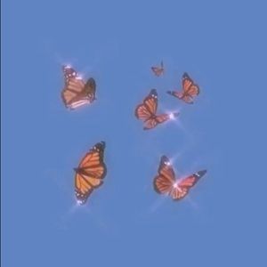 Meet your Posher, Mariah